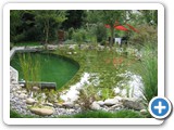 piscina naturale piccola 3